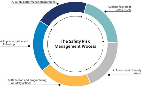 Risk Management and Safety .